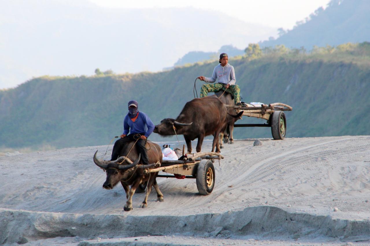 Santa Juliana Bognot Lodge : Alvin Bognot Mt Pinatubo Guesthouse And Tours المظهر الخارجي الصورة